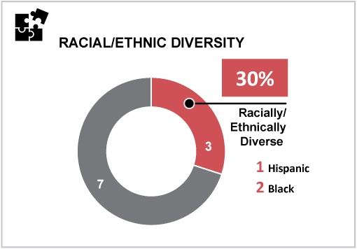 [MISSING IMAGE: tm213648d1-pc_ethnicdivpms.jpg]